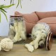 Zwei Glasbehälter gefüllt mit Hundekauartikeln, ein Behälter umgekippt, wobei Kauartikel auf einer Holzoberfläche sichtbar sind, mit einem plüschigen Haustierbett im Hintergrund.