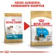 Bild von zwei Beuteln Royal Canin Hundefutter für Shih Tzu Welpen, beschriftet mit "Junior" und "Welpe," mit dem Text "NEUES AUSSEHEN, VERBESSERTE REZEPTUR."
