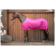 Ein braunes Pferd mit einer leuchtend pink gestreiften Decke steht vor einem Holz-Hintergrund und zeigt sein elegantes Profil.