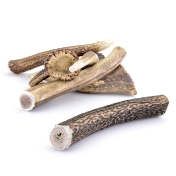 Geweih XL ca. 160-250g Eine Sammlung von natürlichen Geweihkausspielzeugen für Hunde, die in Größe und Form variieren, auf einem weißen Hintergrund präsentiert.