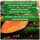 Bild eines lebhaften orangefarbenen Blattes, das auf moosigem Boden liegt, mit grünem Textüberlagerung, die Vorteile für die Teichbiologie im Herbst und Winter beschreibt.