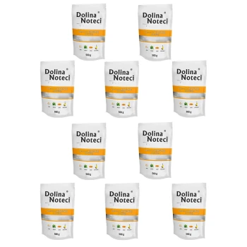 Premium Adult bogata w kaczkę z dynią saszetka 10x500 g Dziesięć torebek karmy dla zwierząt Dolina Noteci, każda oznaczona 500 g, z białym tłem i pomarańczowymi oraz szarymi akcentami.