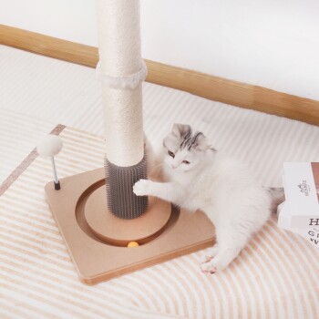 Ein verspieltes weißes Kätzchen mit grauen Flecken interagiert mit einem Kratzbaum, der einen mit Sisal umwickelten Pfosten und ein Ballspielzeug hat.