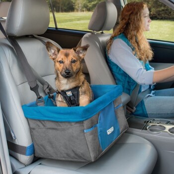 Nutteloos redden Onbeleefd Hond in auto: alle accessoires online kopen | MAXI ZOO