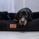 Schwarzer Hund ruht in einem schwarzen tierlando Haustierbett mit braunem Logopatch auf hellem Boden.