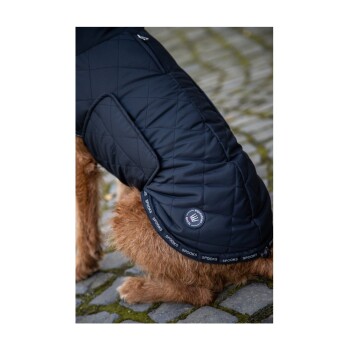 Nahaufnahme eines Hundes, der einen schwarzen gesteppte Mantel trägt, mit einem Logo und Branding, das am Saum 'SPOOKS' liest.
