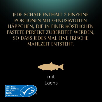Schwarzes Etikett mit goldenem deutschen Text über zwei Portionen, goldene Fischsilhouette, 'mit Lachs' und MSC-zertifiziertes Meeresfrüchte-Logo.