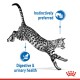 A leaping spotted cat with a playful expression, accompanied by text stating "Instinctively preferred" and "Digestive & urinary health."