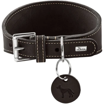 Dunkelbraunes Lederhalsband für Hunde mit beiger Naht, Metallschnalle und -ring, HUNTER-Logoplatte und runder Plakette mit geprägter Hundesilhouette.