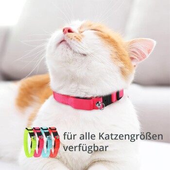Nahaufnahme einer entspannten orange-weißen Katze mit pinkem Halsband, mit dem Text "für alle Katzengrößen verfügbar" und bunten Halsbändern.
