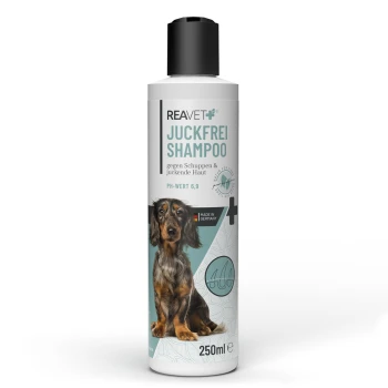 Flasche REAVET Juckfrei Shampoo für Hunde, 250 ml, entwickelt zur Bekämpfung von Schuppen und juckender Haut, mit einem pH-Wert von 6,9.