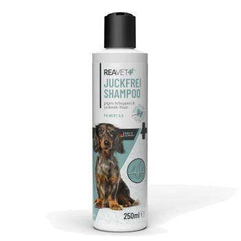 Flasche REAVET Juckfrei Shampoo für Hunde, 250 ml, entwickelt zur Bekämpfung von Schuppen und juckender Haut, mit einem pH-Wert von 6,9.