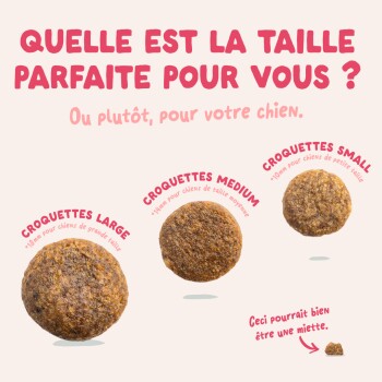 Trois tailles de croquettes étiquetées en français : Croquettes Large, Medium, Small. Titre : « Quelle est la taille parfaite pour vous ? »
