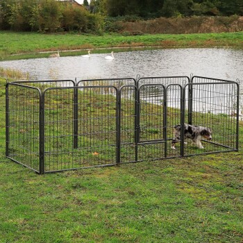Ein schwarzer Metallhundezwinger, der auf Gras in der Nähe eines Teiches aufgestellt ist, mit einem Hund, der im Gehege erkundet, und Schwänen, die im Hintergrund schwimmen.