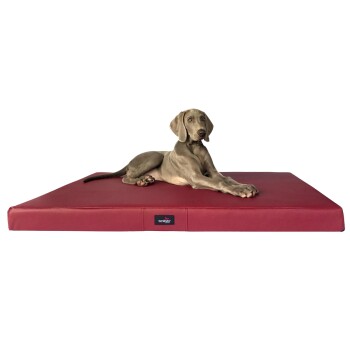 Ein grauer Hund liegt auf einem roten Haustierbett und zeigt Komfort und Stil, mit einem sichtbaren Logo an der Seite des Bettes.