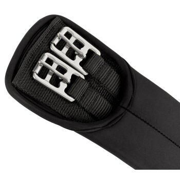 Nahaufnahme eines schwarzen Haustiergeschirrs mit zwei silbernen Metallverschlüssen und verstellbaren Riemen für eine sichere Passform.