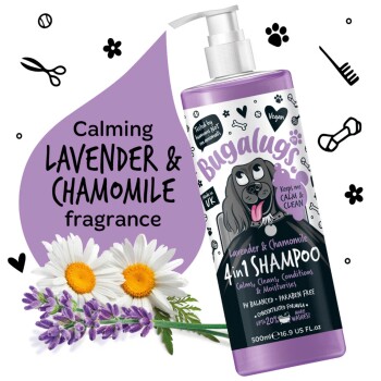 Flasche Bugalugs Lavendel & Kamille 4-in-1 Shampoo, mit beruhigendem Duft, mit Blumen und einer verspielten Hundillustration.