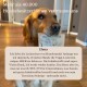 Golden Retriever hält eine Tüte "HUNDEHAPPEN" Hundeleckerlis im Maul, mit deutschem Text, der das Produkt lobt.
