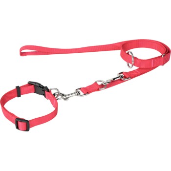 collar + leash pink S