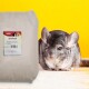 Ein graues Chinchilla sitzt neben einem Sack Chinchillasand mit der Aufschrift 'PANTO', vor einem leuchtend gelben Hintergrund. Der Sack wiegt 25 kg.