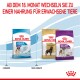 Bild von Royal Canin Hundefuttertüten: Junior (8-18 Monate), Rottweiler Adult und Giant Adult mit Text über den Wechsel zu Erwachsenenfutter.