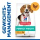Hill's Science Plan Hundefutterbeutel mit der Aufschrift 'Perfect Weight' mit Huhn, mit einem Beagle und dem Text 'Gewichtsmanagement.'