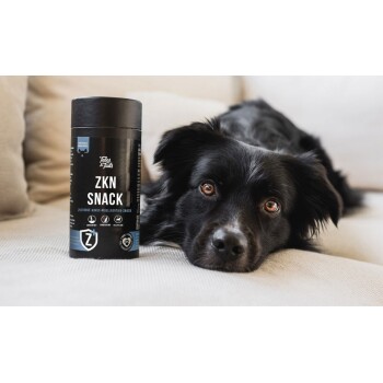 Schwarzer Hund liegt auf einem Sofa neben einer schwarzen zylindrischen Haustiersnackdose mit der Aufschrift „ZKN SNACK“.