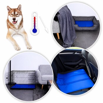 Ein Hund ruht auf einer blauen Matte mit einem Thermometer, das einen Temperaturabfall zeigt, neben Bildern der Matte in einem Bett, einer Kiste und einem Autositz.