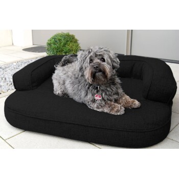 Ein flauschiger grauer Hund, der auf einem schwarzen Hundebett liegt, mit einem kleinen Busch im Hintergrund und einem Steinweg.