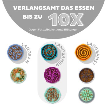 Bunte langsame Fressnäpfe für Haustiere mit Spiral- und Labyrinthmustern. Text: "SLOWS EATING UP TO 10X Gegen Fettleibigkeit und Blähungen."