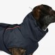 Eine Nahaufnahme eines Hundes, der eine marineblaue Haustierjacke mit hohem Kragen und orangefarbenen Akzenten trägt, die sein stilvolles Design zeigt.