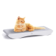 Eine flauschige orangefarbene Katze, die auf einem eleganten grauen Kratzpad mit weißem Boden liegt, vor einem weißen Hintergrund.