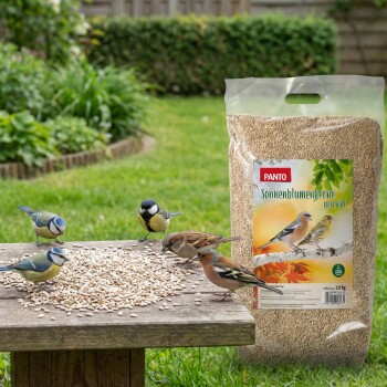 Kleine Vögel fressen Sonnenblumenkerne aus einer Terrakottaschale mit einer PANTO Premium Sonnenblumenkerne Vogelfuttersack im Hintergrund.