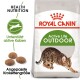 Outdoor 4 kg