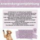 ALPHAZOO-Team in einem Tiergeschäft mit Menschen und Hunden, die nachhaltige Haustierprodukte präsentieren. Text: "ES WIRD ERNST. LERN UNS KENNEN."