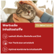 Blije grijze Europese korthaar die geaaid wordt boven een rode banner met de tekst 'Waardevolle ingrediënten' en 'Voor jouw katten'.