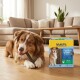 Brauner Hund liegt auf Holzboden neben einer gelben MultiFit Dental Care Sticks-Box in einem Wohnzimmer.