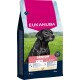 Eukanuba Senior Hundefutterbeutel für große Rassen 25-40 kg, reich an frischem Huhn, 15 kg, mit Bild eines schwarzen Labradors.