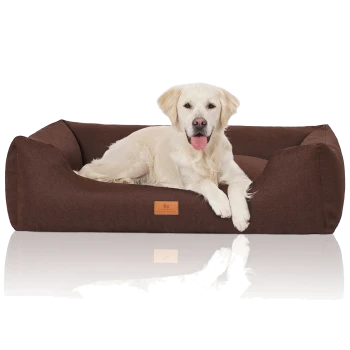 Ein Golden Retriever liegt bequem auf einem braunen Haustierbett mit einem Lederetikett, was eine gemütliche und einladende Atmosphäre widerspiegelt.