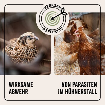 Das Bild zeigt eine Wachtel auf der linken Seite und Hühner in einem Stall auf der rechten Seite, mit dem Text "WIRKSAME ABWEHR" und "VON PARASITEN IM HÜHNERSTALL".