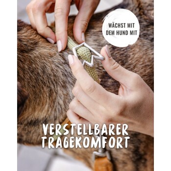 Eine Person passt ein grünes Geschirr an einen Hund an, mit dem Text "WÄCHST MIT DEM HUND MIT" und "VERSTELLBARER TRAGEKOMFORT."