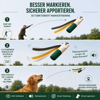 Golden Retriever Hund steht auf einer grasbewachsenen Wiese und hält eine grüne Trainingsattrappe mit schwarzem Gurt im Maul.