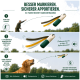 Golden Retriever Hund steht auf einer grasbewachsenen Wiese und hält eine grüne Trainingsattrappe mit schwarzem Gurt im Maul.
