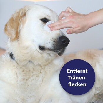 Ein Golden Retriever liegt, während eine Person sanft sein Auge mit einem Wattepad abwischt; der Text lautet 'Entfernt Tränenflecken.'