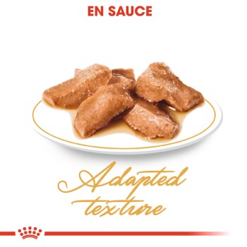 Assiette de nourriture pour animaux en sauce, présentant des morceaux rectangulaires doux, avec le texte "EN SAUCE" en haut et "Texture adaptée" en dessous.