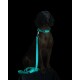 Glow Collar aqua 19 cm, 2 cm
