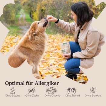 Eine Person füttert einen Golden Retriever im Herbst und hält eine "HUNDEKÜ"-Tüte mit der Aufschrift "Optimal für Allergiker" ohne Zusatzstoffe oder Getreide.