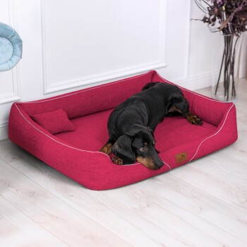 Ein schwarzer Dobermann, der bequem auf einem lebhaft roten Hundebett mit einem kleinen Kissen liegt, in einem stilvollen Innenraum.