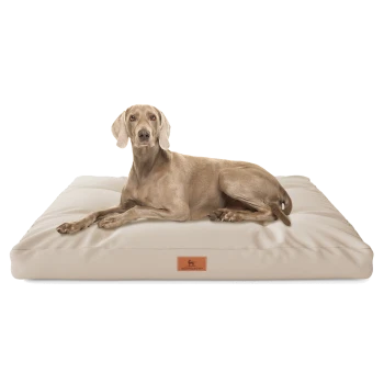 Ein hellbeiges Hundebett mit einer plüschigen Oberfläche, auf dem ein Hund bequem liegt. Das Bett hat ein kleines braunes Etikett mit einer Hundesilhouette.