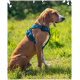 Größenguide für Hundegeschirre mit Messanweisungen für Hals- und Brustumfang, mit Größenbereichen von S bis XL.